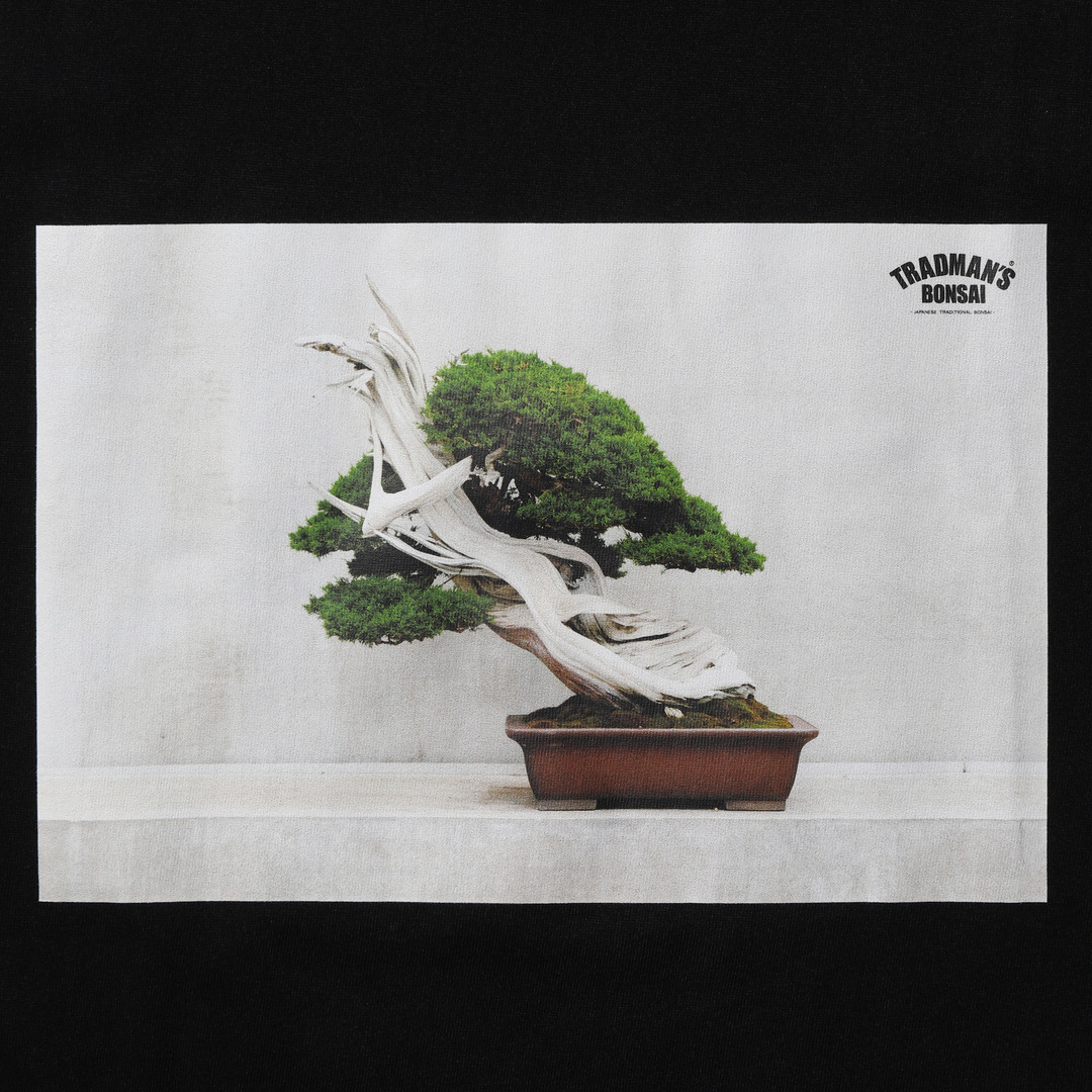 BONSAI PHOTO T-SHIRT -真柏-｜TRADMAN'S BONSAI ONLINE STORE